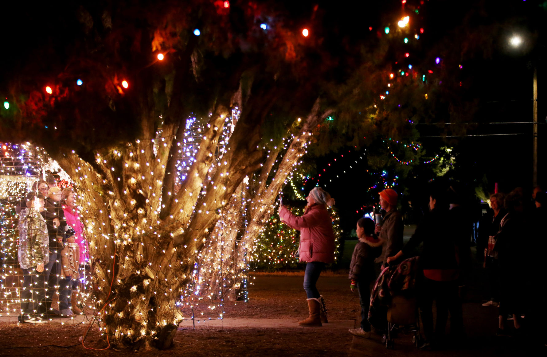 2017 Winterhaven Festival of Lights